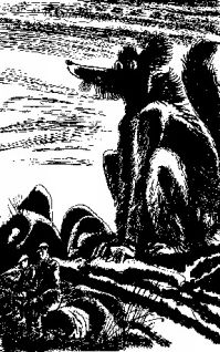 Тайна атолла Муаи - i_047.jpg