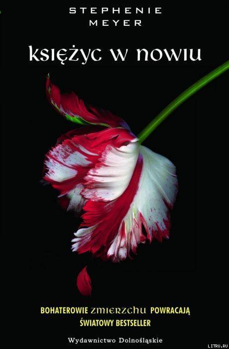 Księżyc w nowiu - pic_1.jpg