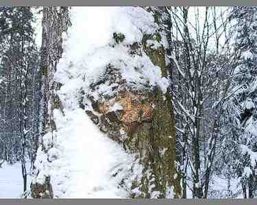 Статьи - articles_praga_knife_articles_drying_4