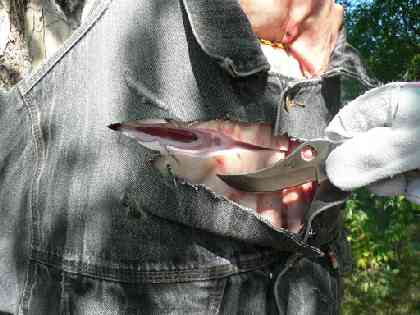 Статьи - articles_test_chinook_1vs2-2_1