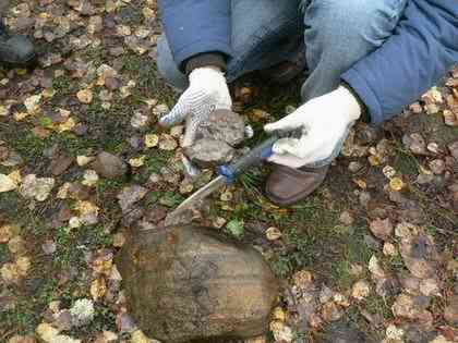 Статьи - articles_test_lowprice_1_33