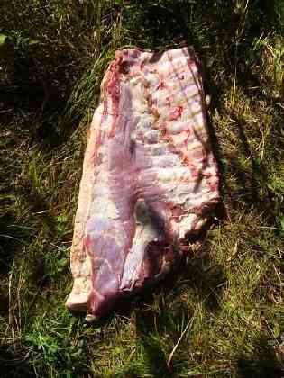 Статьи - articles_test_plastic_0