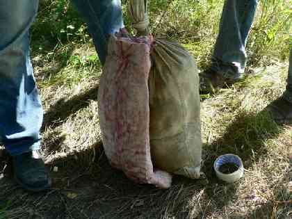 Статьи - articles_test_plastic_2