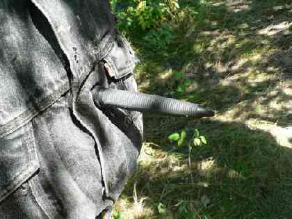 Статьи - articles_test_plastic_28