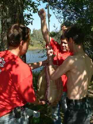 Статьи - articles_test_plastic_3