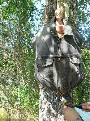 Статьи - articles_test_plastic_4