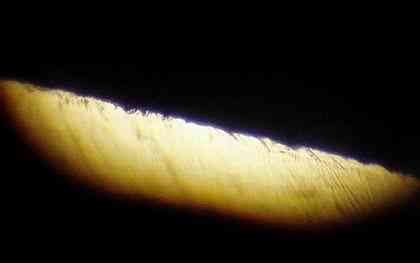 Статьи - articles_test_uu_15