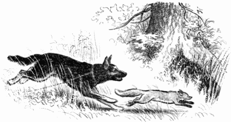 Анъяр - i_002.png