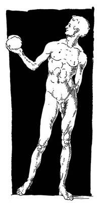 Дневники. Письма. Трактаты. Том 2 - i_010.jpg