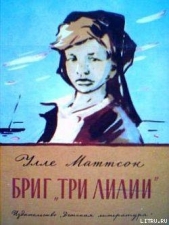  Маттсон Уле - Бриг «Три лилии»