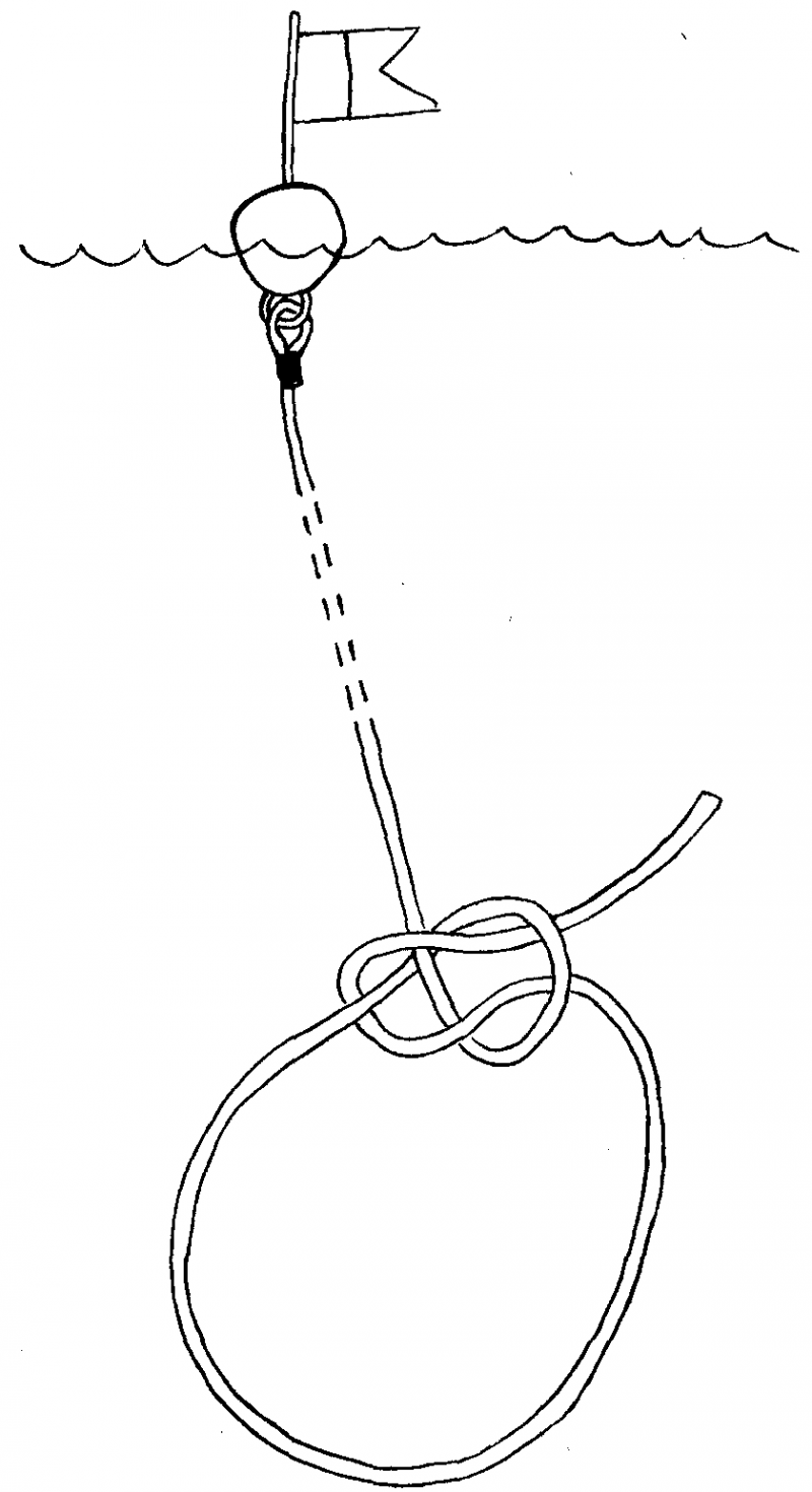 Акваланг и подводное  плавание - img_21.png