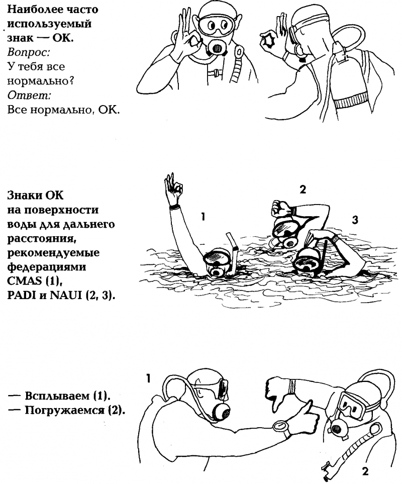 Акваланг и подводное плавание - img_28.png