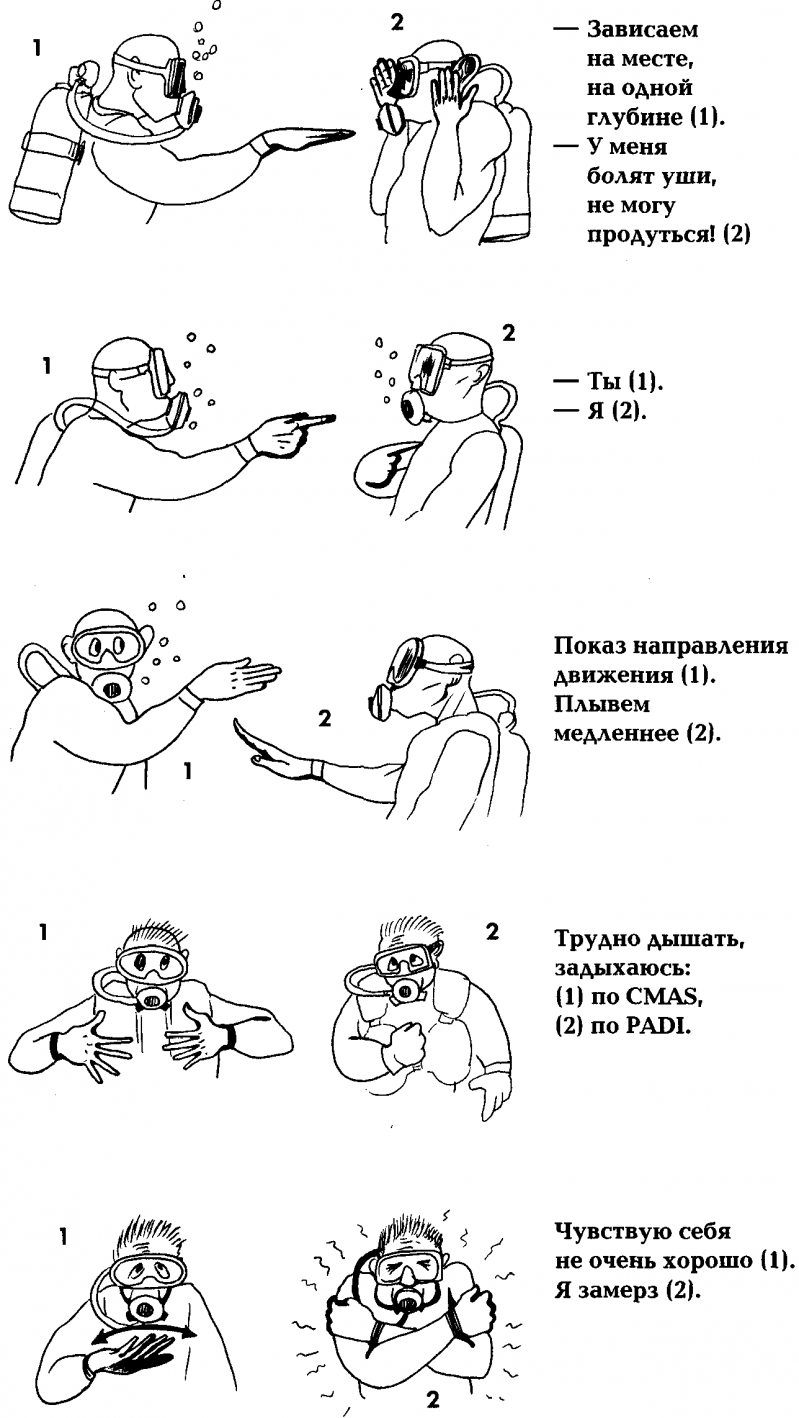 Акваланг и подводное плавание - img_29.png