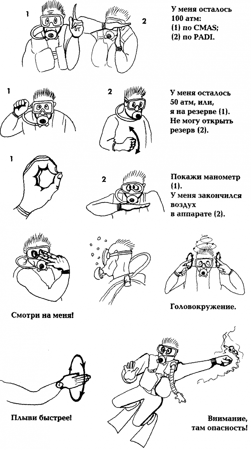 Акваланг и подводное плавание - img_30.png