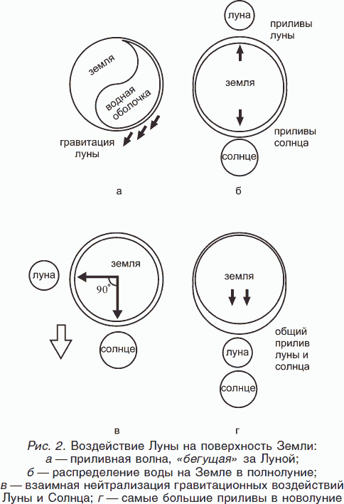 Целительные силы. Книга 2. Биоритмология. Уринотерапия. Траволечение. Создание собственной системы оздоровления - _02.png