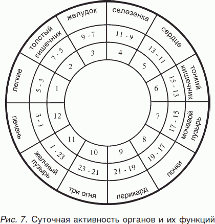 Целительные силы. Книга 2. Биоритмология. Уринотерапия. Траволечение. Создание собственной системы оздоровления - _09.png
