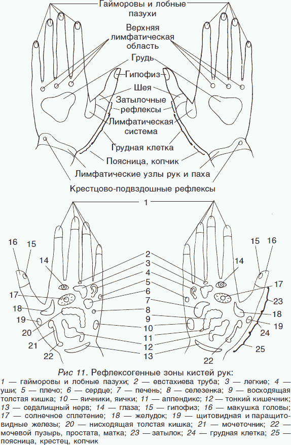 Целительные силы. Книга 2. Биоритмология. Уринотерапия. Траволечение. Создание собственной системы оздоровления - _12.png