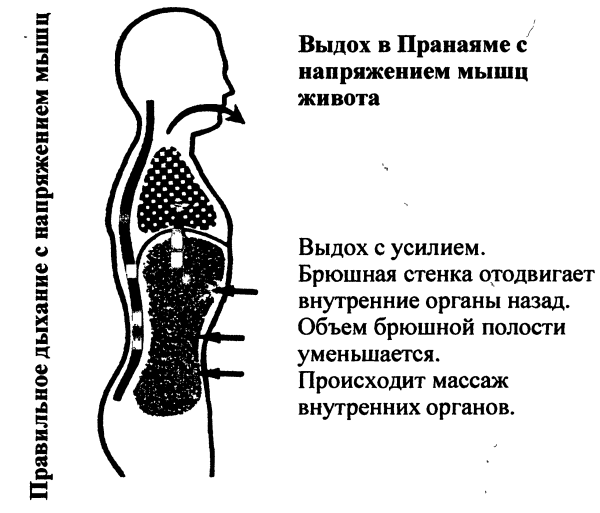 Пранаяма. Путь к тайнам йоги - img_19.png