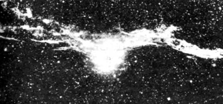 Все «чудеса» в одной книге - pic_11.jpg