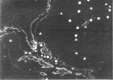 Все «чудеса» в одной книге - pic_67.jpg