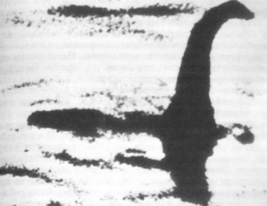 Все «чудеса» в одной книге - pic_77.jpg