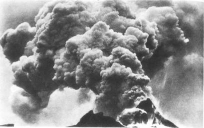 Все «чудеса» в одной книге - pic_86.jpg