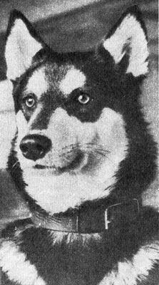 Только радость доставлявший… - i_001.jpg