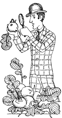 Лингвистические детективы - i_003.png