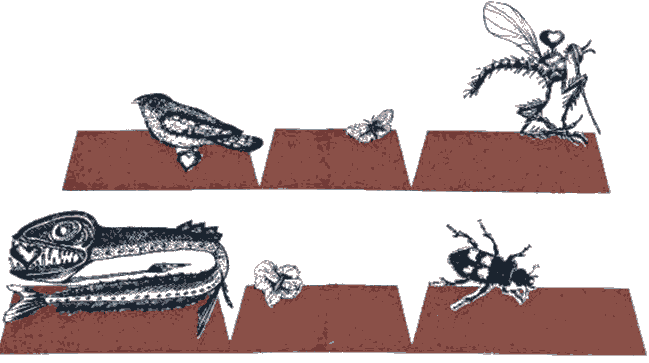 Сборник рассказов - i_013.png