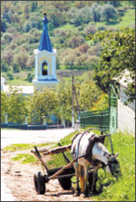 Литературная Газета  6247 ( № 43 2009) - TAG_userfiles_image_43_6247_2009_23-2_jpg779514