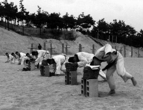 Хапкидо для начинающих - i_003.png