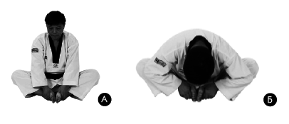 Хапкидо для начинающих - i_022.png