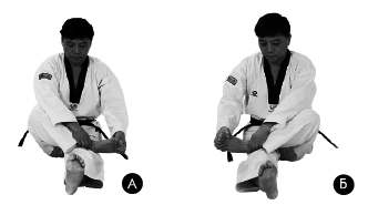 Хапкидо для начинающих - i_023.png