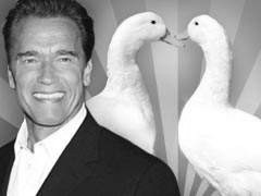 Утиная правда 2005(1) - _45.jpg