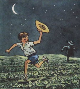 Огурцы - i_014.jpg