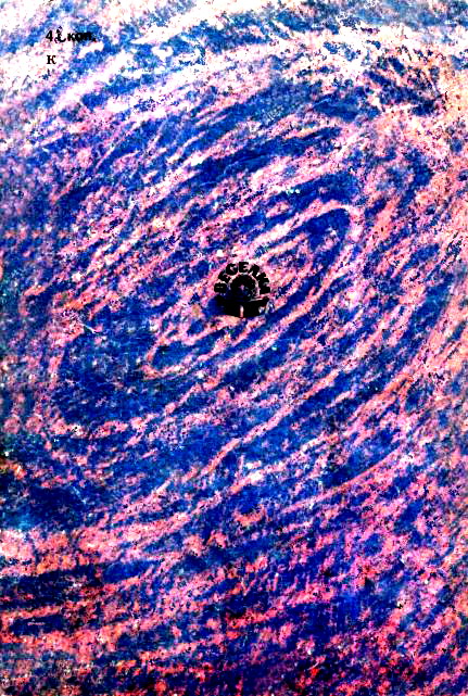 Велика, більша й найбільша - Obkladynka_2