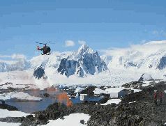 Записки переворачивателя пингвинов. - pic_43.jpg