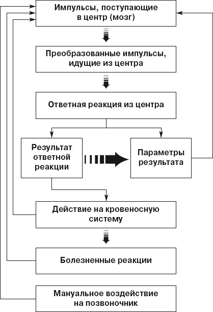 Позвоночник и суставы. Лечение и профилактика - i_014.png