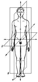 Позвоночник и суставы. Лечение и профилактика - i_080.png