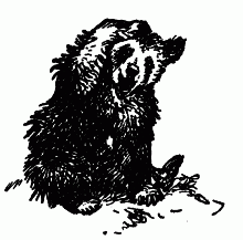 Встречи с животными - img_7.png