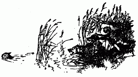 Встречи с животными - img_48.png