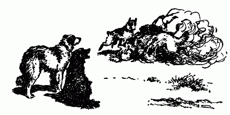 Встречи с животными - img_79.png