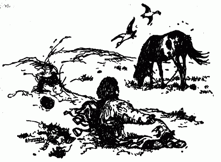 Встречи с животными - img_90.png