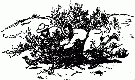 Встречи с животными - img_97.png