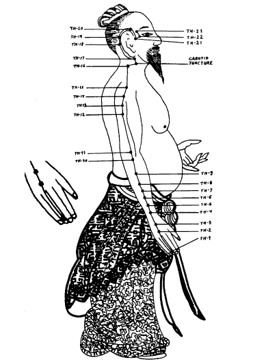 Йога - Triple_Heater.png