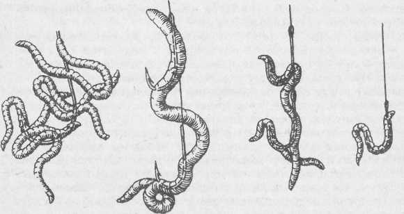 Удильщику - i_005.jpg