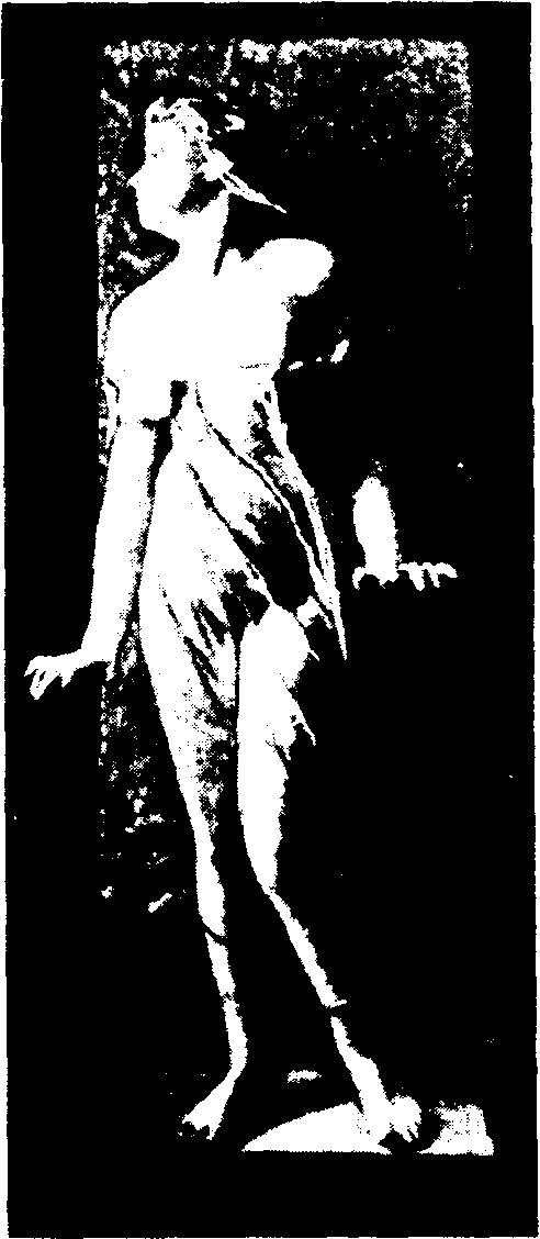 Похмельная книга - i_013.png