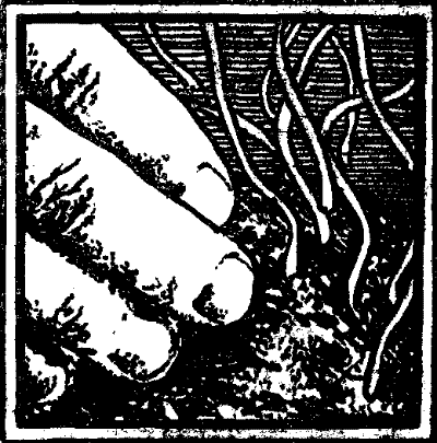 Корида - doc2fb_image_03000013.png