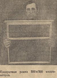 СОВЕТЫ СТАРОГО ПЧЕЛОВОДА - pic_3.jpg