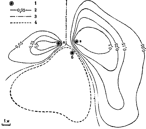 Муравей, семья, колония - i01fb134e30